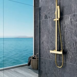 Conjunto de ducha INVERTER C Oro monomando - Imagen 3